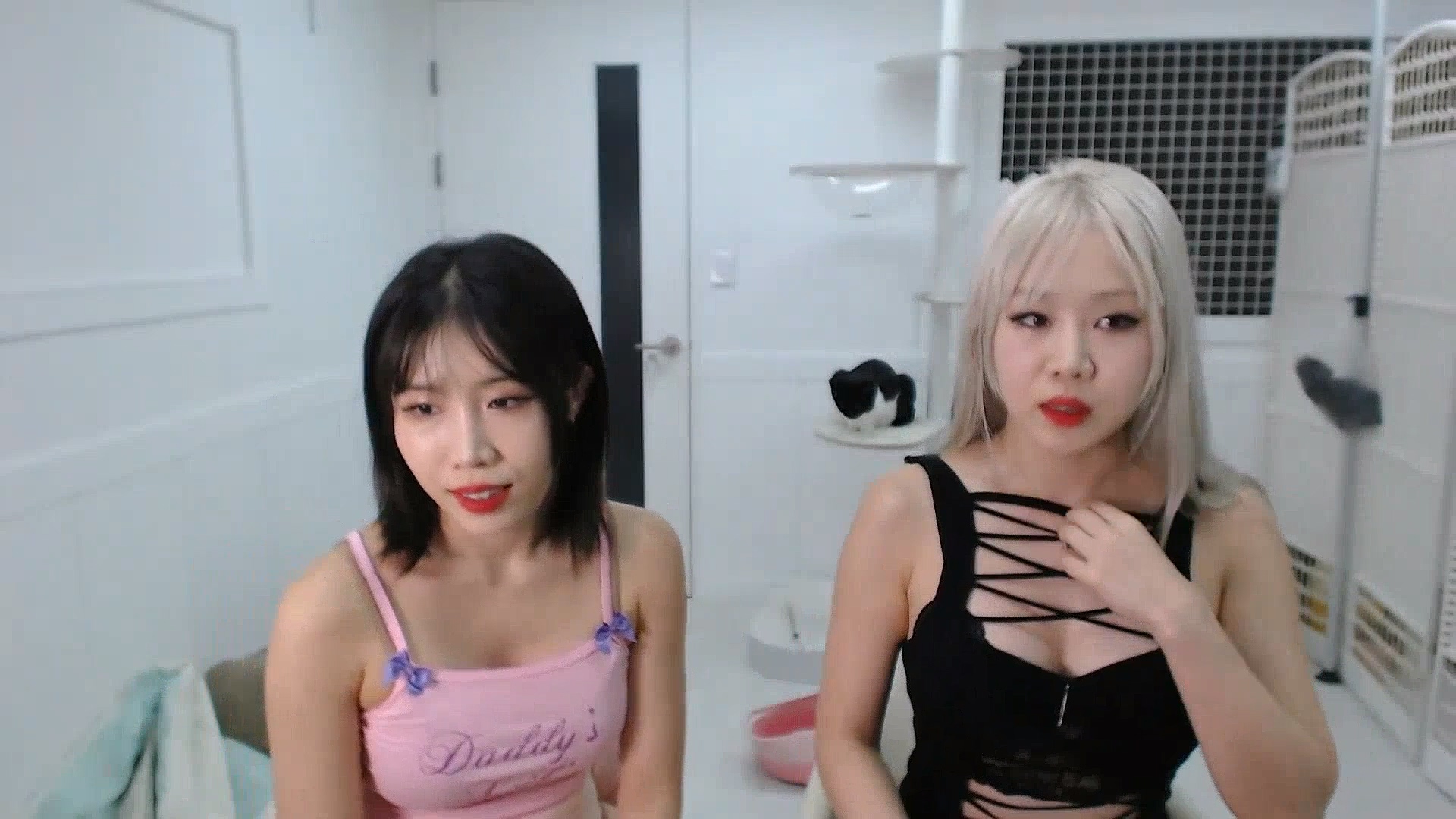 Live 24년 9월 첫번째 라이브 ❤🤍 2024/09/14 Waveya Livestream直播 – #0125插图