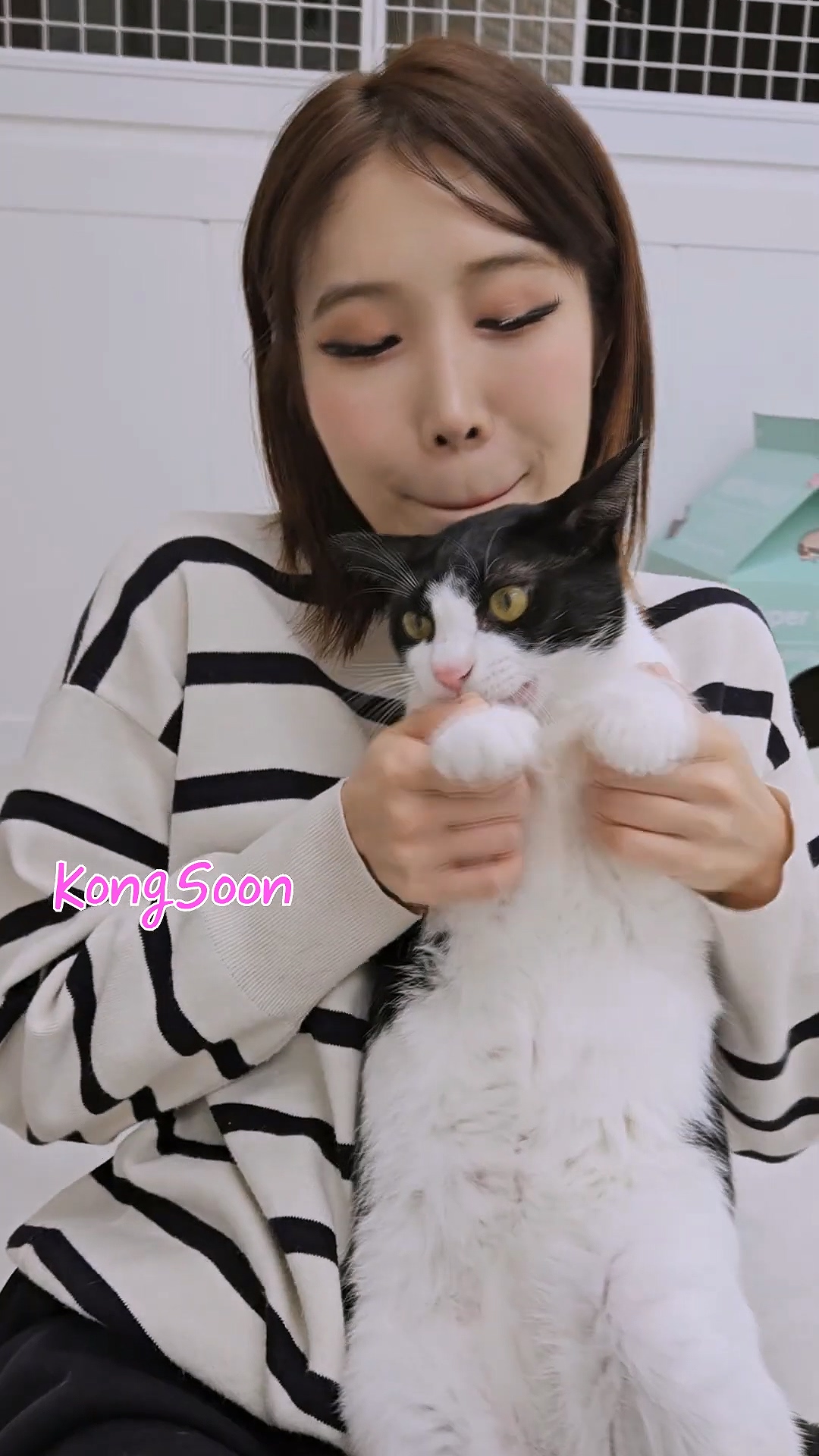 Cat APT🐈고양이 아파트 춤 😻콩순ver #Rose #APT #dancecover #brunomars  Waveya MiU – #00110插图
