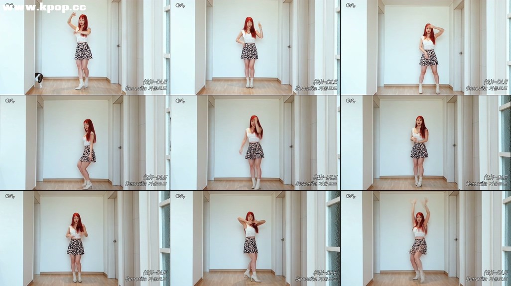 (G)I-DLE Senorita 세뇨리타 안무 거울모드 느리게 설명 Mirrored Tutorial Waveya – #0539插图1