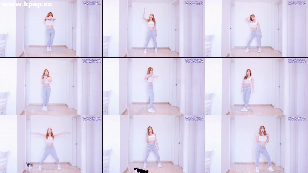 블랙핑크 뚜두뚜두 거울모드 느리게 BLACKPINK DDU-DU DDU-DU tutorial mirrored  Waveya – #0450插图1