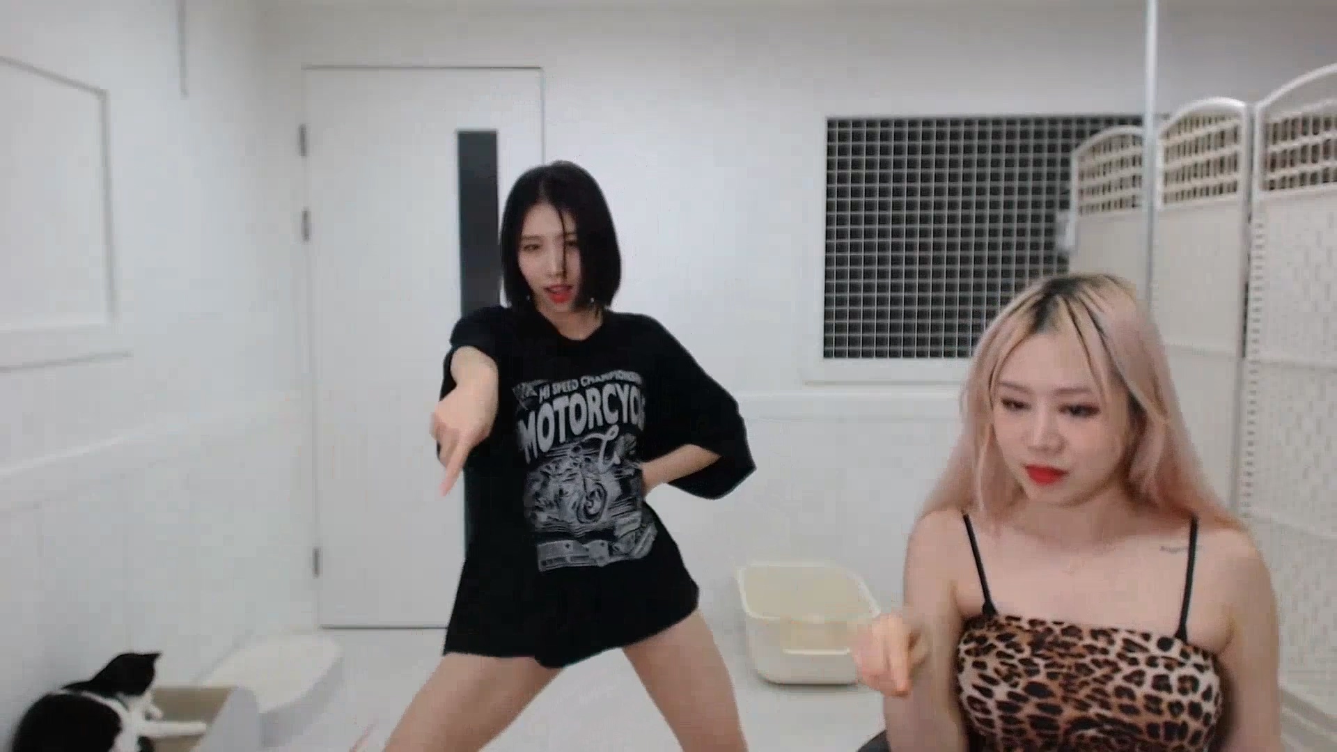 May 1st Live 5월 첫라이브? 2024/05/11 Waveya Livestream直播 – #0117插图