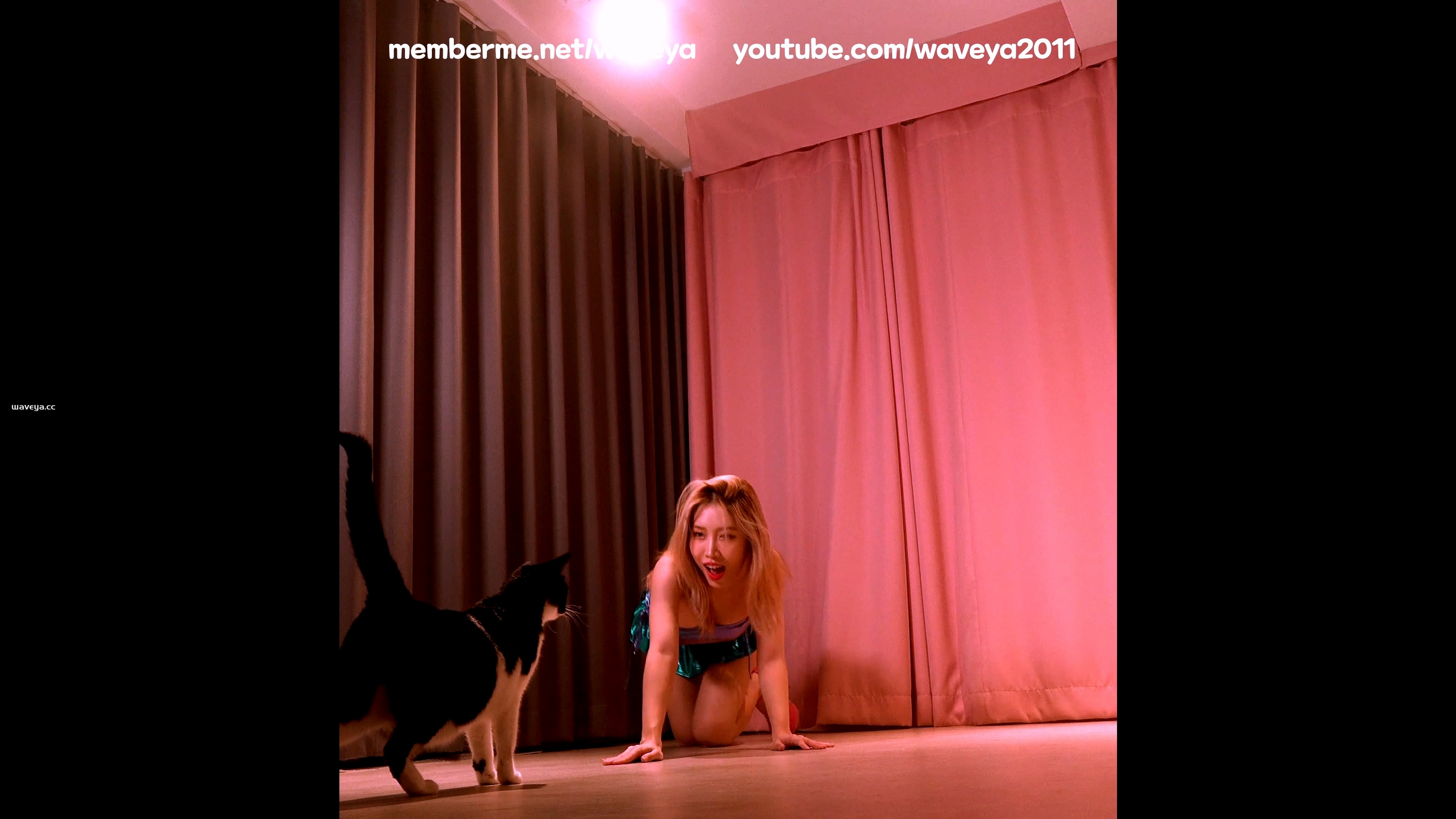 ?MiU? Get It Girl Sexy Twerk Dance 미유 ?키티걸 섹시댄스 Waveya memberme会员 (4k+1080p)[300M+96M] – #0188插图1