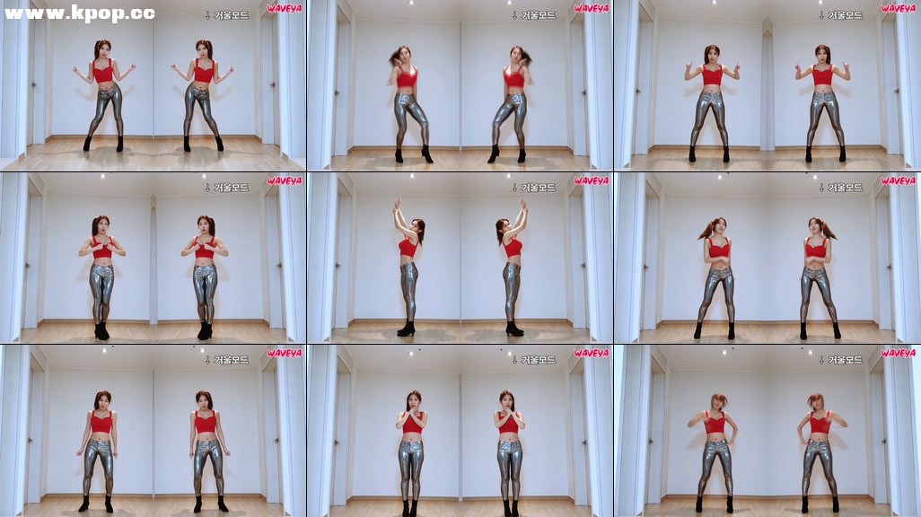 레벨 슬기 춤선 따라잡기 RedVelvet RBB Mirrored Dance Tutorial 거울모드 안무 Waveya – #0511插图1