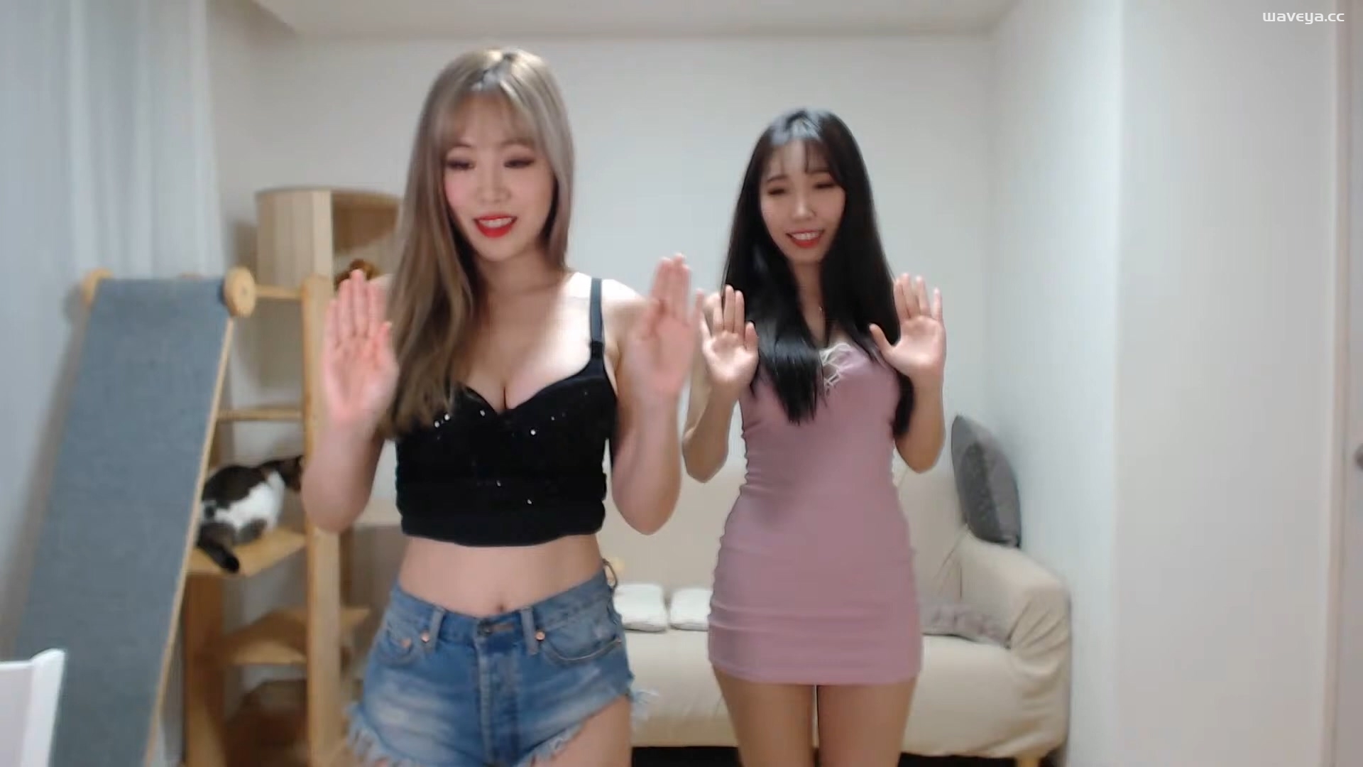 Waveya Livestream直播 – #0010插图1