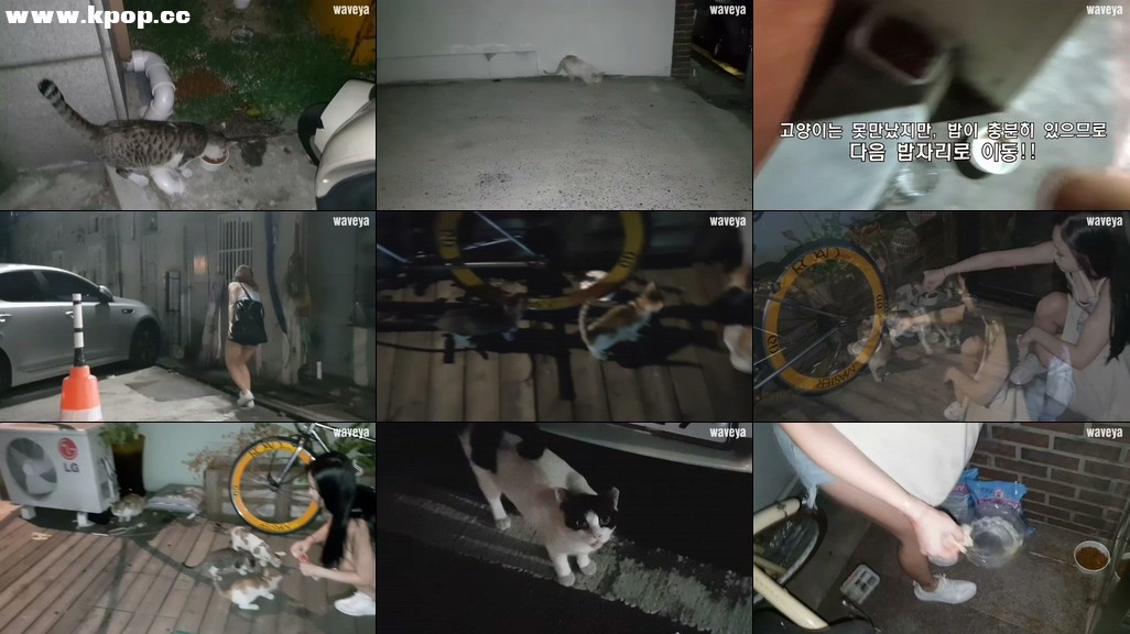 낮에는 댄서, 밤에는 최초공개 웨이브야 리얼 현실 모습 Waveya real life – #0486插图1