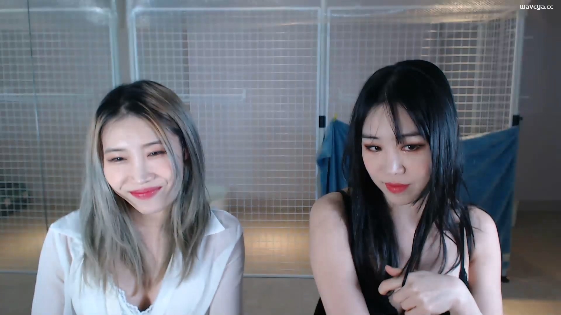 4월 첫 라이브 Live?? 23/04/09Waveya Livestream直播 – #0091插图