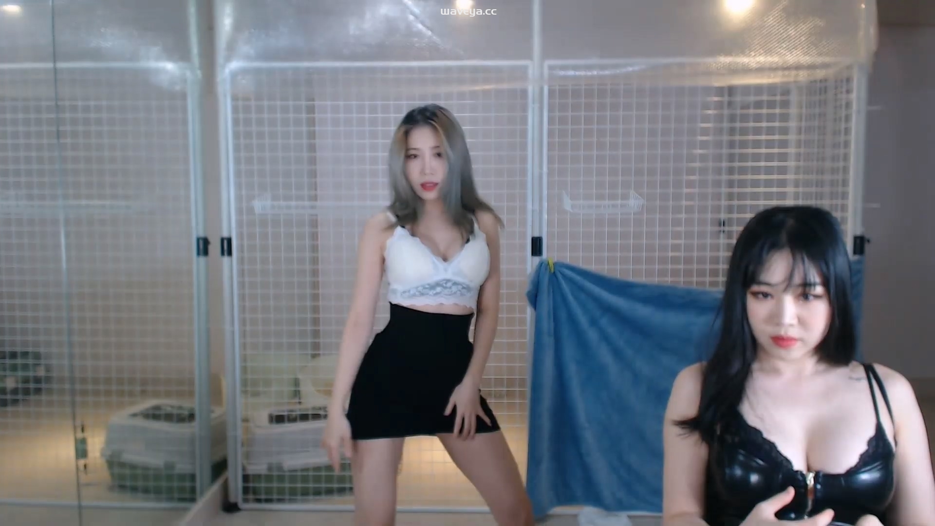 4월 첫 라이브 Live?? 23/04/09Waveya Livestream直播 – #0091插图3