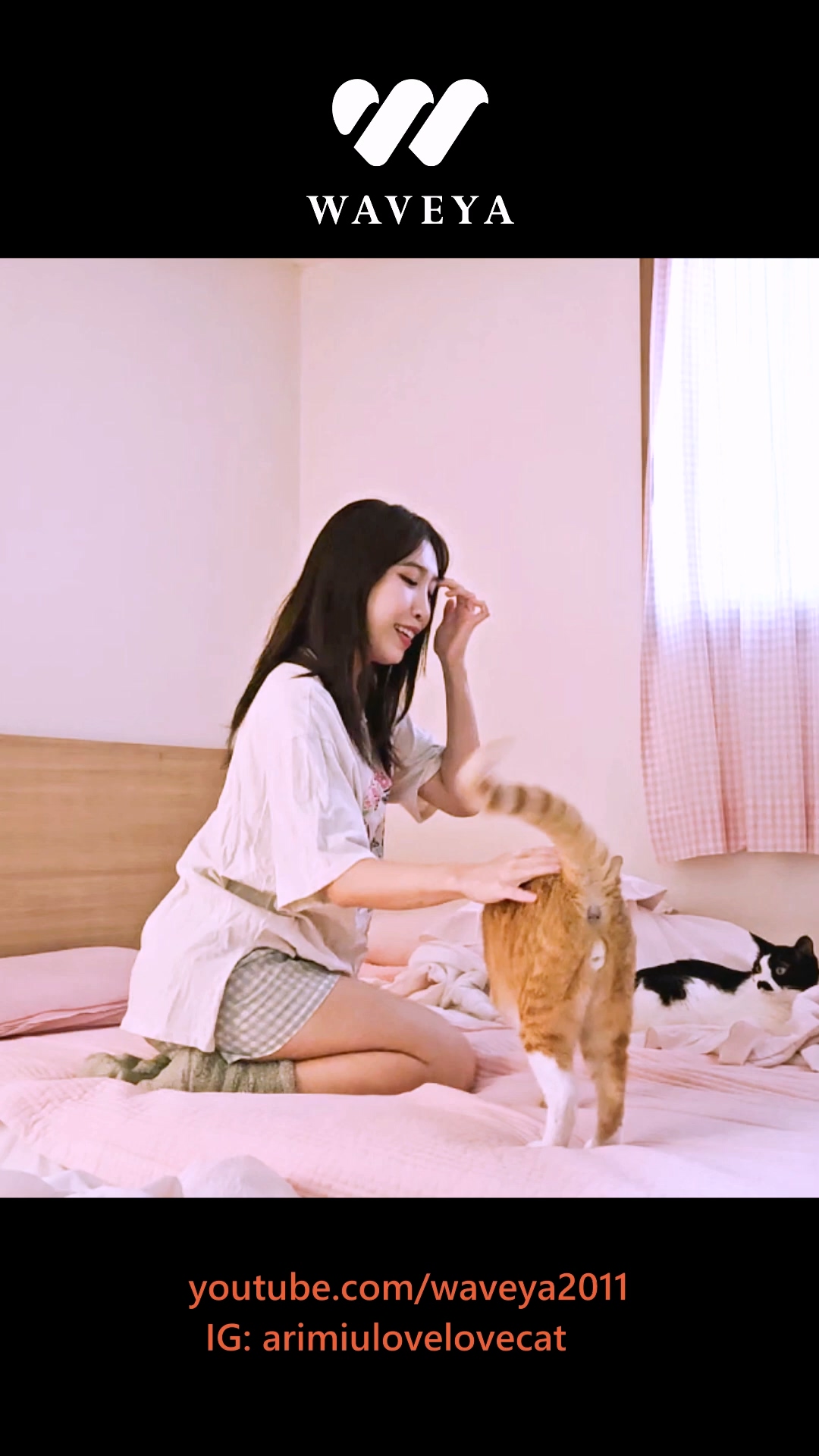 춤 좋아하는 고양이? Jessi 제시 Gum with cats #Jassi #GumChallenge #cat Waveya miu – #00046插图