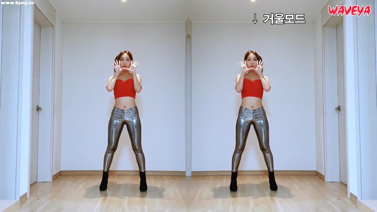 레벨 슬기 춤선 따라잡기 RedVelvet RBB Mirrored Dance Tutorial 거울모드 안무 Waveya – #0511插图